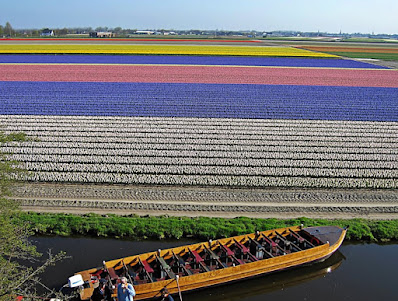 Passeio de barco em Keukenhof - Foto de Neanderthaler Keukenhof - Holanda
