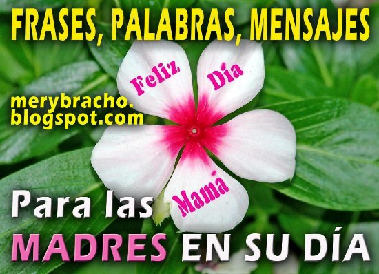 Frases, Dedicatorias, Palabras lindas para la Madre en su Día. Frases cortas, mensajes cristianos para mi mamá, madre, mami en su día, para mi muro del facebook, para enviar por mensaje.