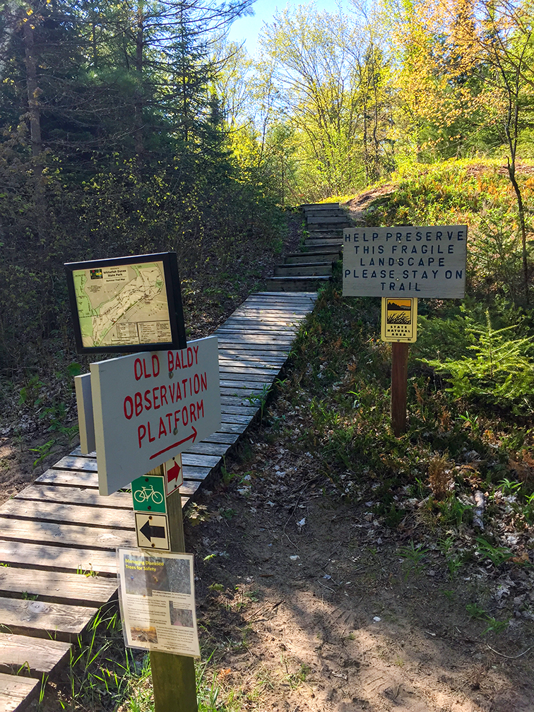 Whitefish Dunes State Park Hiking Trails Hiking The Red Trail At Whitefish Dunes State Park