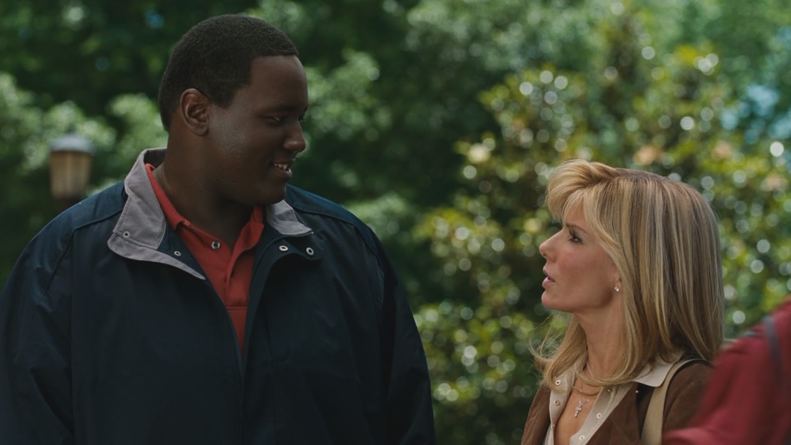 Watch Free Movies Online The Blind Side