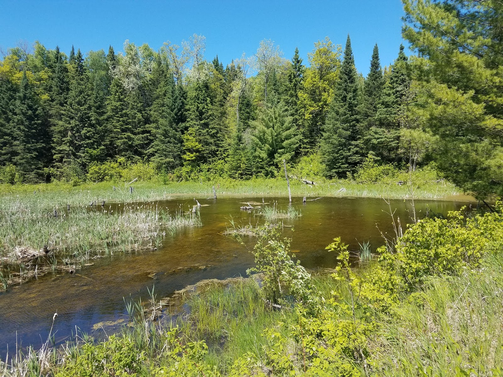 Along the Way Heartland State Trail Park Rapids to Walker (MN)