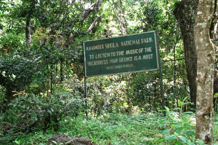 Adventurous Mathikettan Shola National Park A must Visit Destination