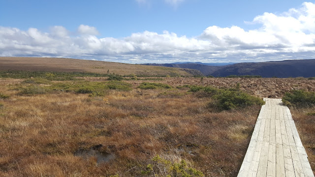 Plateau du mont Albert