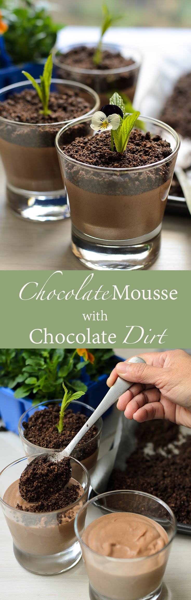 Chocolate Mousse with chocolate dirt