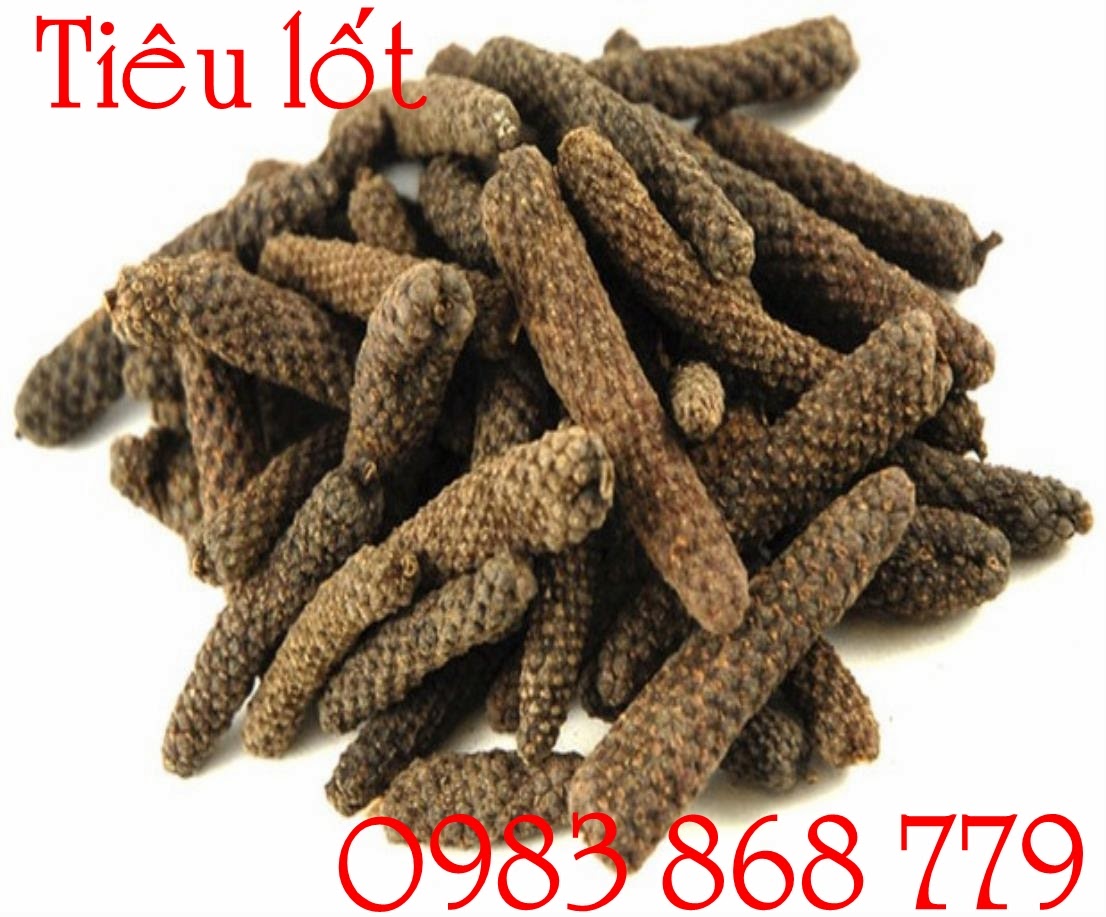 Tiêu lốt Tiêu lốt được đưa đến Hy Lạp thế kỷ 15