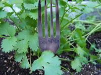 how to make stamped fork plant markers