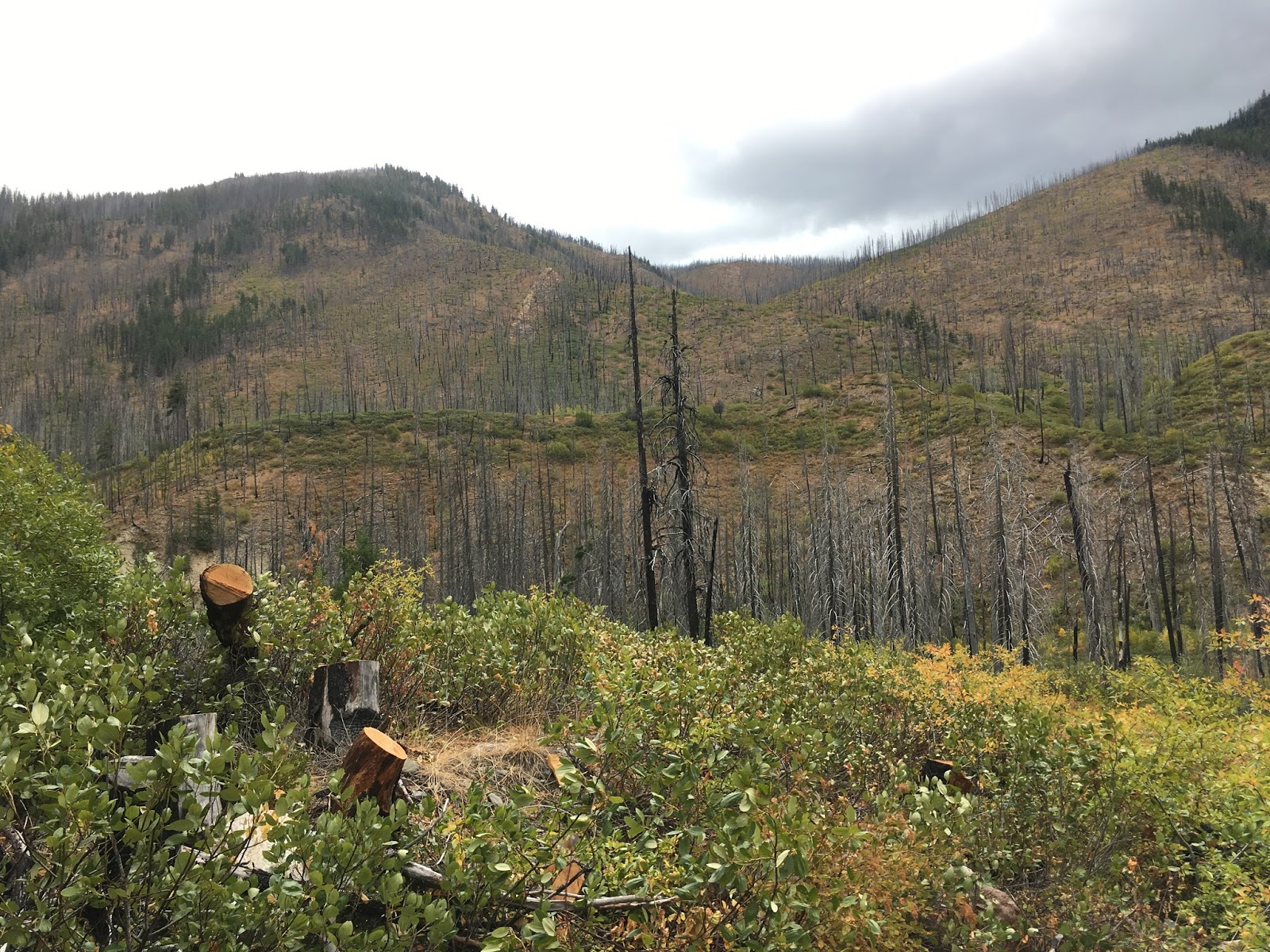 All This Is That methow valley