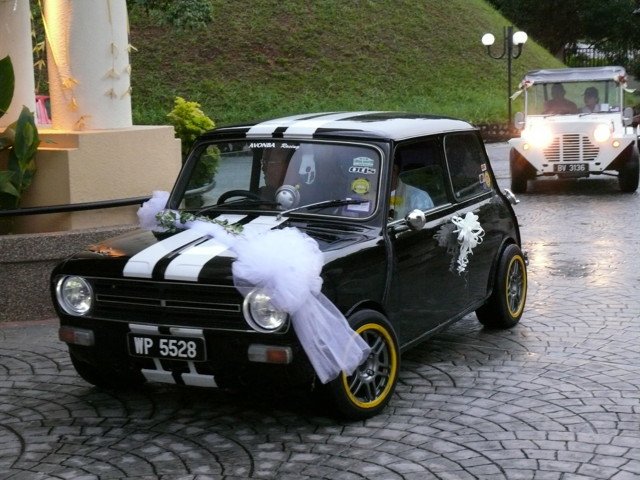 MINI COOPER SP DATEN FILES visual data 3