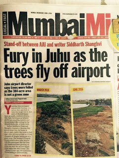 Illegal felling of trees and dumping of construction waste into Juhu Lake.