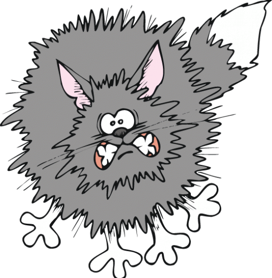 clipart of scared cat - photo #18