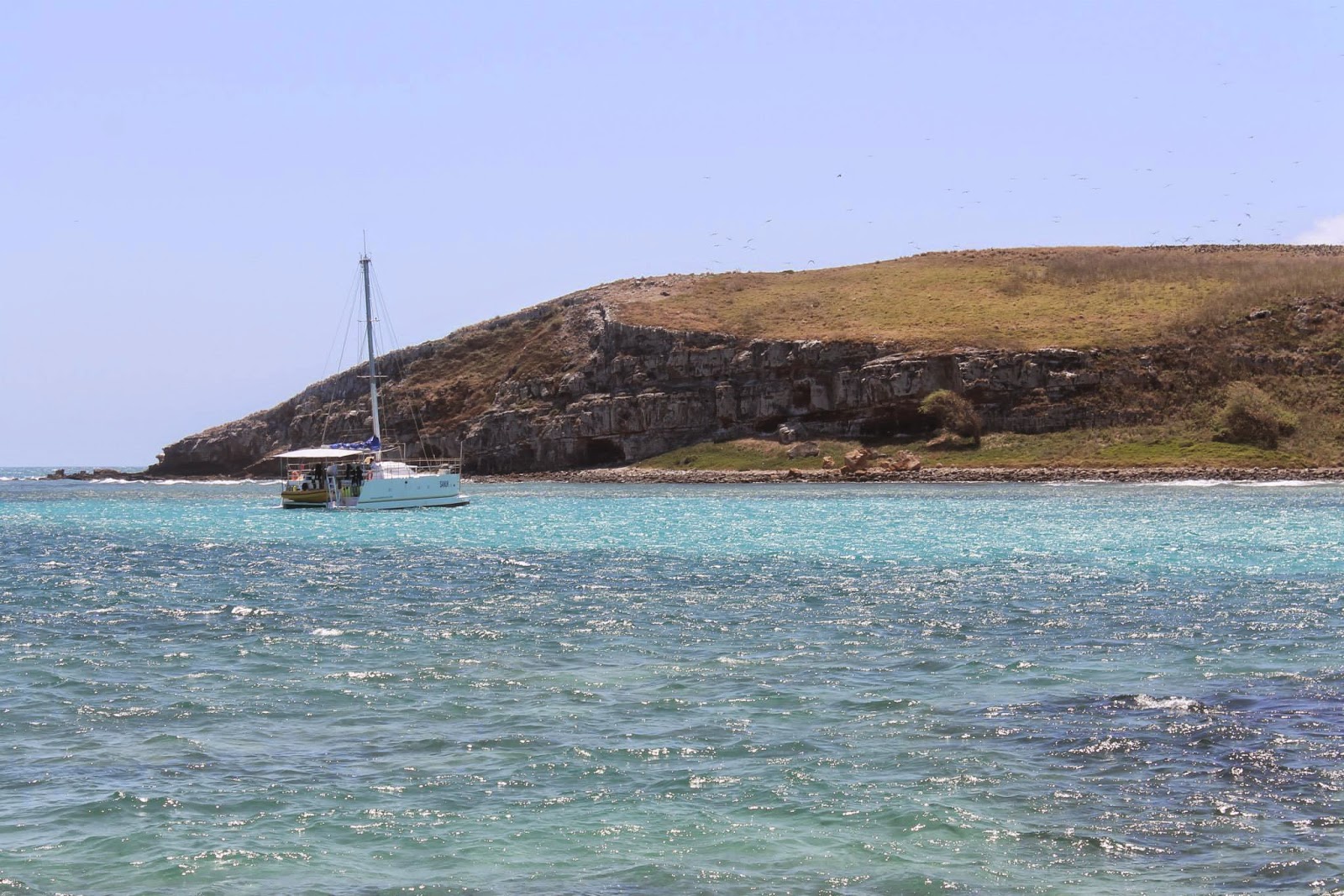 abra os olhos abrolhos whales abrolhos brazil bahia