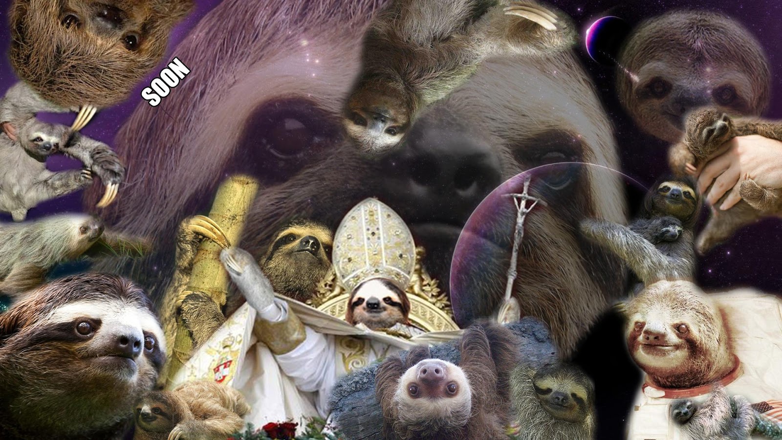 Sloth Wallpapers Sloth Wallpapers
