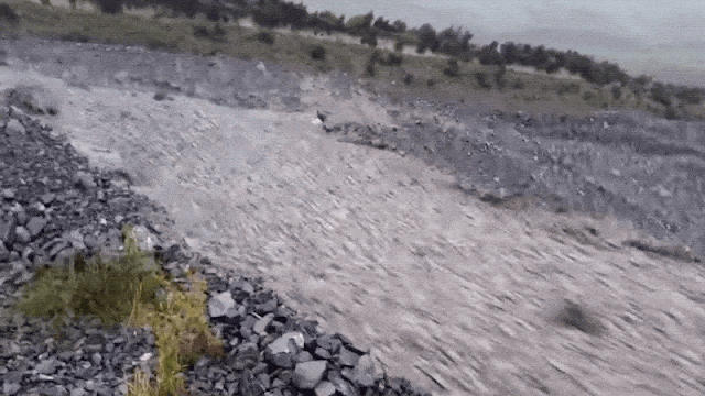 石が流れる石の川？ニュージーランドで起こった不思議な現象【c】