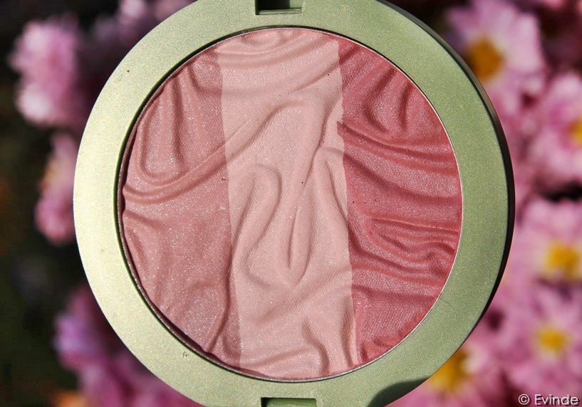 Alverde Shimmer Blush 10 Secret Rose Review + Swatches Evinde's