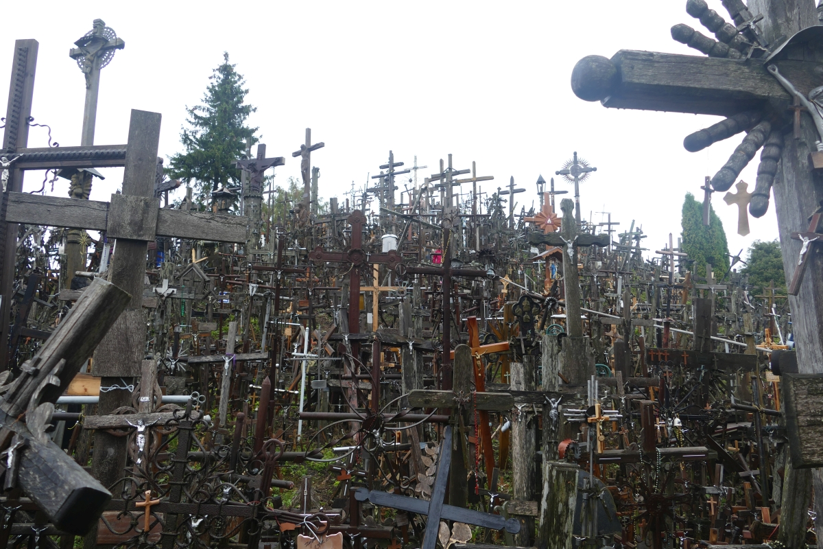 Outfit Frei Sein Andysparkles De