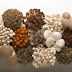 mushroom supplier in maharashtra