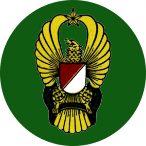 Dunia Militer Etc: ISTILAH SATUAN MILITER: DARI REGU HINGGA DIVISI