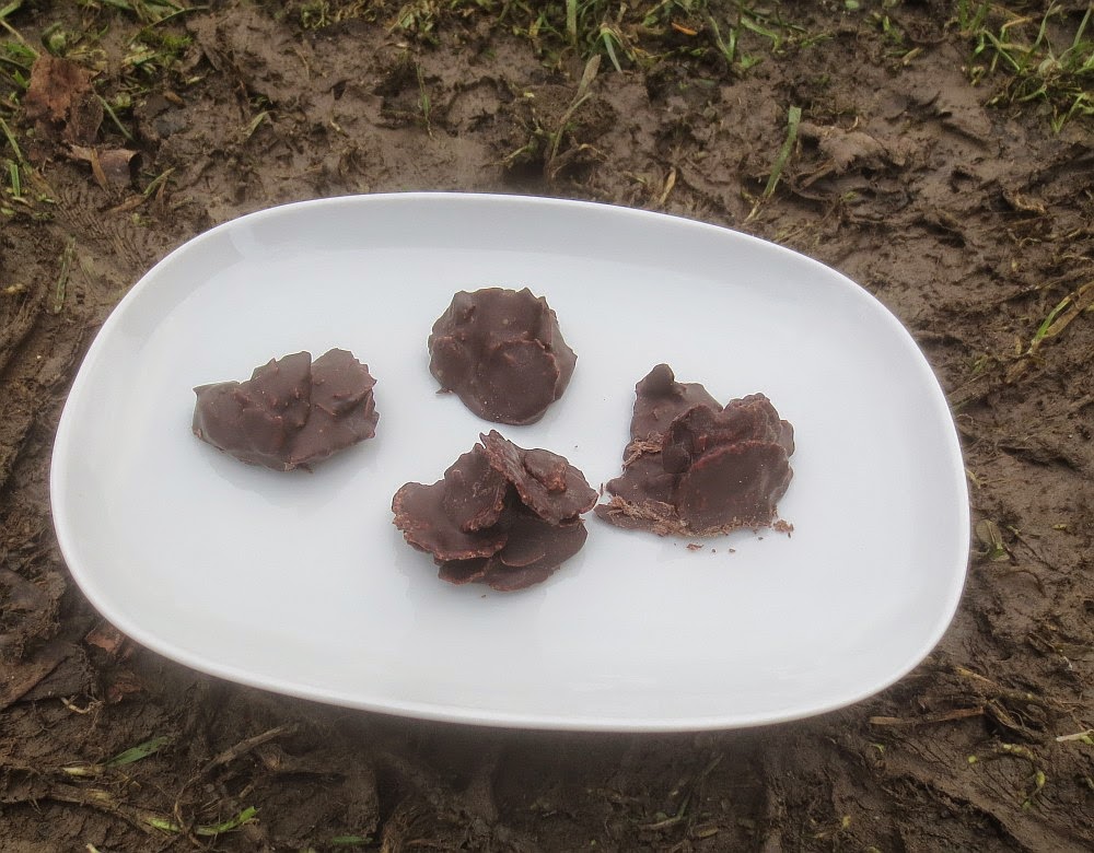 Barbaras Spielwiese: Schoko-Knusper