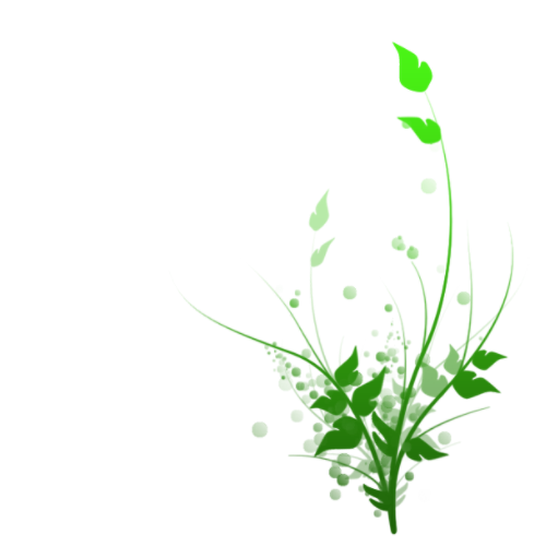 STM PHOTOSCAPE AND EFFECTS ) FLOWER EFFECTS BY STM CREATION )