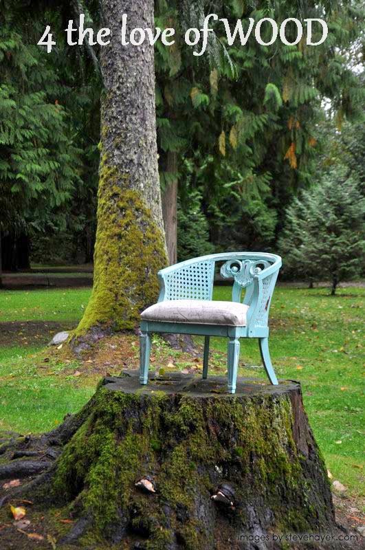 4 the love of wood HOW TO GET RID OF THE SMELL IN WOOD turquoise