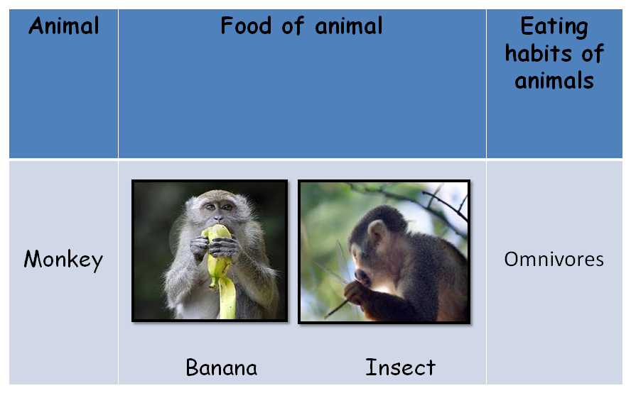Learning of Animals: Different Types Of Food Consumed By Animals