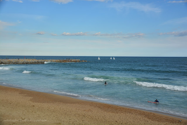 DSC_1947.JPG
