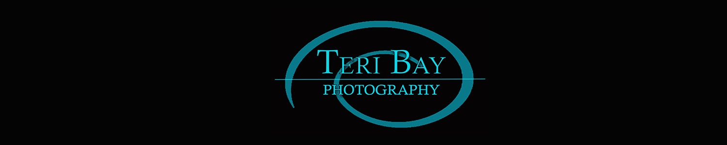 Teri Bay Photography