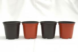 Arte de la jardinería: CONSEJOS Y TRUCOS DE JARDINERÍA