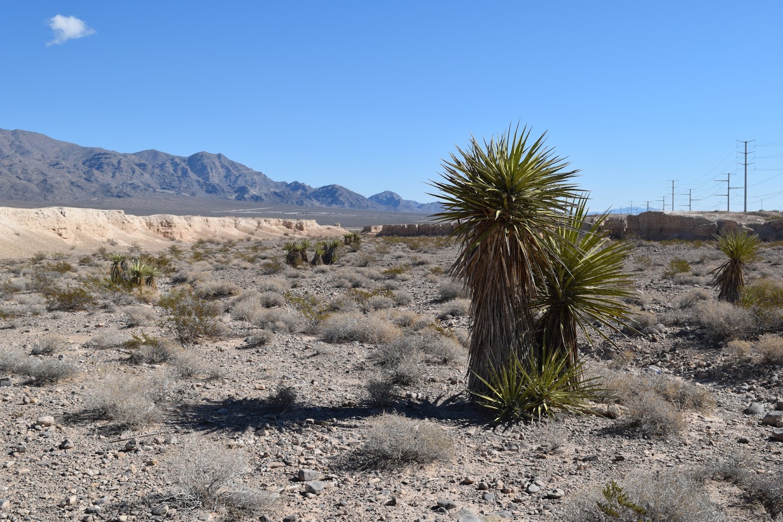 Vegas Girl In the Badlands of the Tule Springs Fossil Beds National