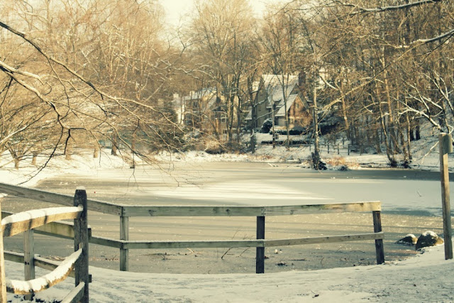 Nieva en Nueva York