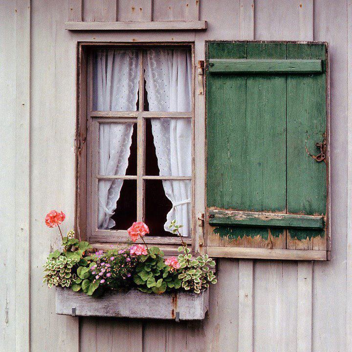 Como pequeños jardines colgantes