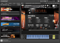 8dio Mandolin Solo KONTAKT Library