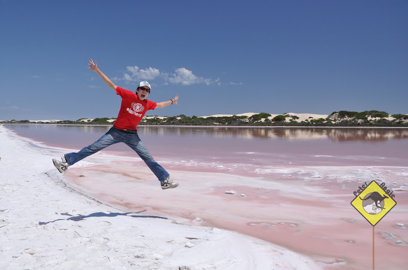 P&A GoGoGo Head of Bight, Penong, Cactus Beach
