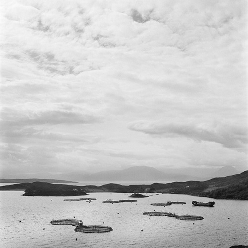 photo by Kevin Percival, "Tanera Bay - Looking South East" | community landscapes foto por Kevin Percival, "Tanera Bay - Looking South East" | fotos en blanco y negro chidas