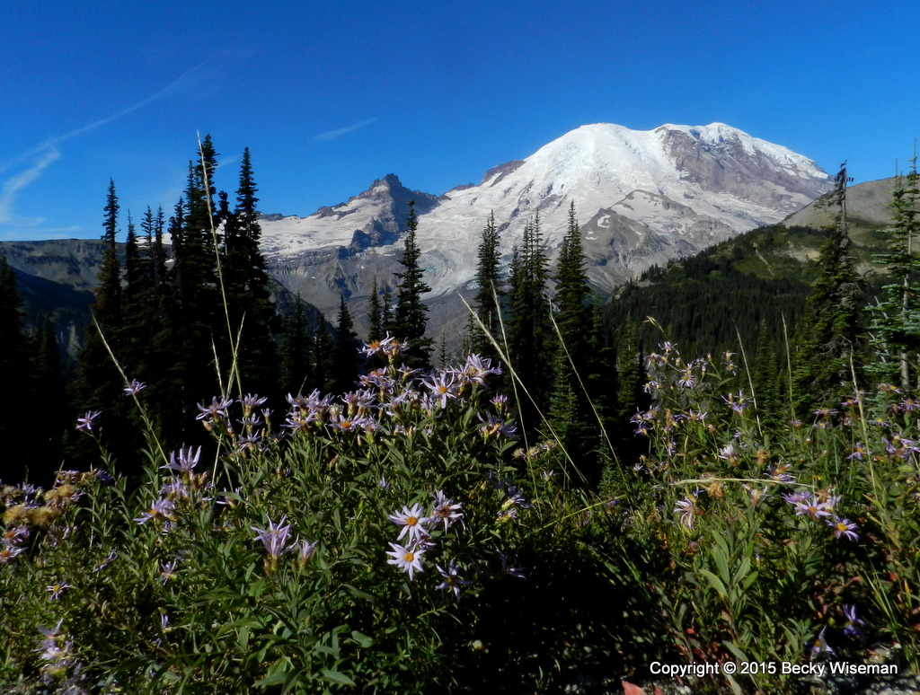 kinexxions Yaak River to Puyallup July 26th to 31st