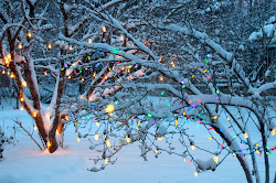 christmas aesthetic merry fyi nest aestheticnest eve snowing got