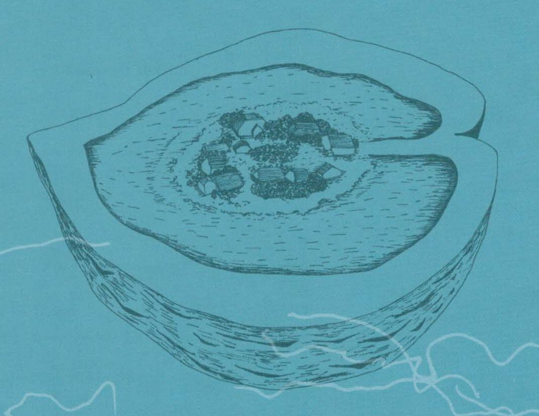 Meldorfer Kulttour Marz 2019