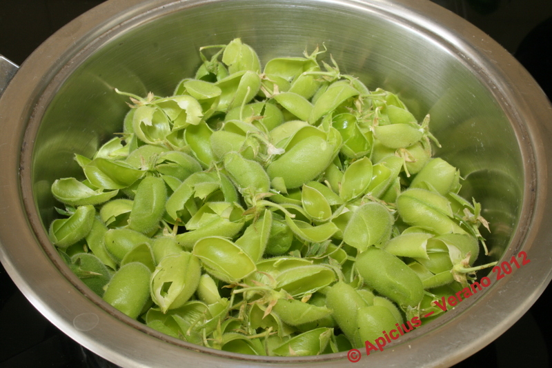 Garbanzos verdes, algo he preparado con ellos La Cocina Paso a Paso