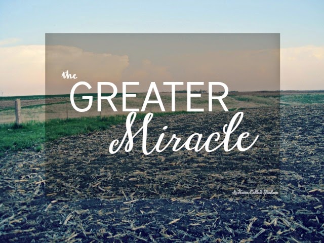 The Greater Miracle- Maybe planting a seed is the greater miracle. | http://bit.ly/1BjGFNU