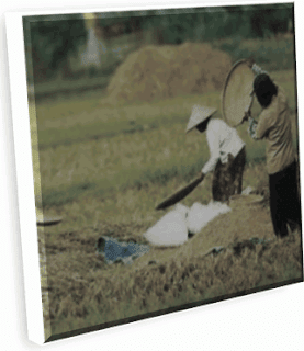 Penguatan Ekonomi Maritim Dan Agrikultur Di Indonesia