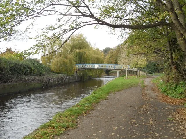 Walk the River Dodder in Dublin - path and bridge
