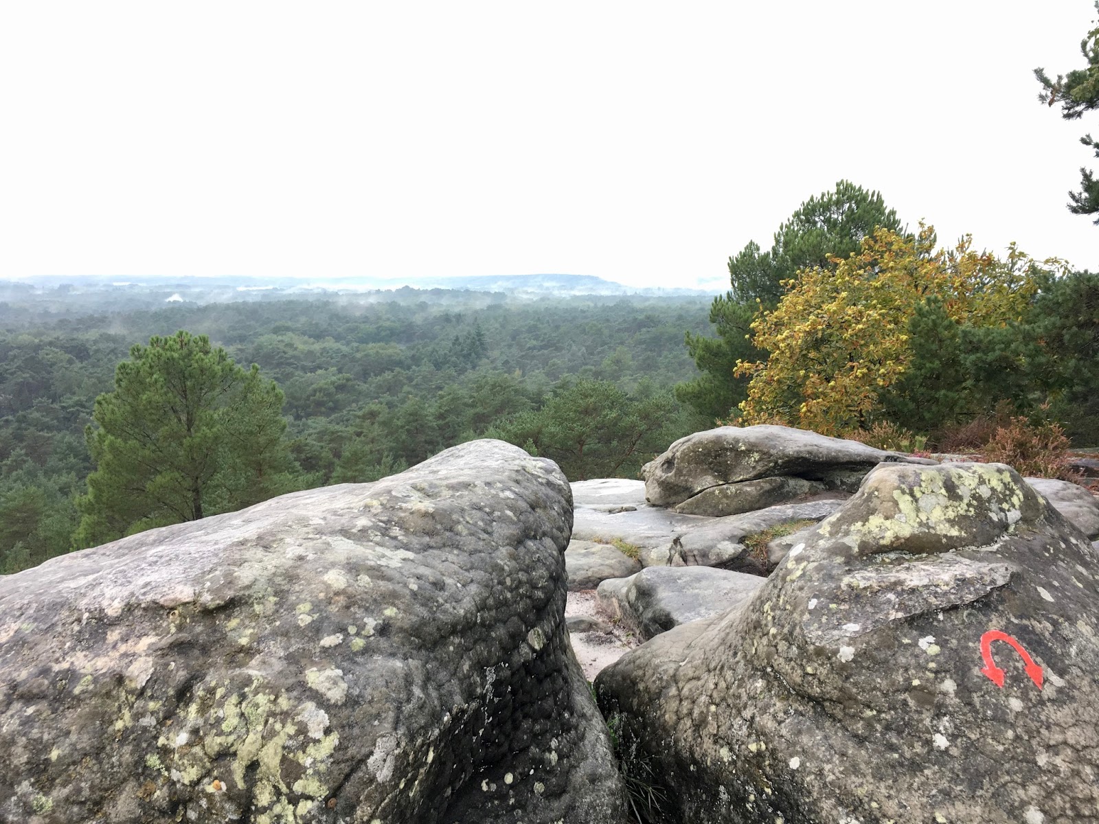 Le Chemin de Paul: Les 25 Bosses &agrave; Fontainebleau