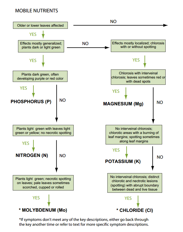 Wayamba Plant Nutrition