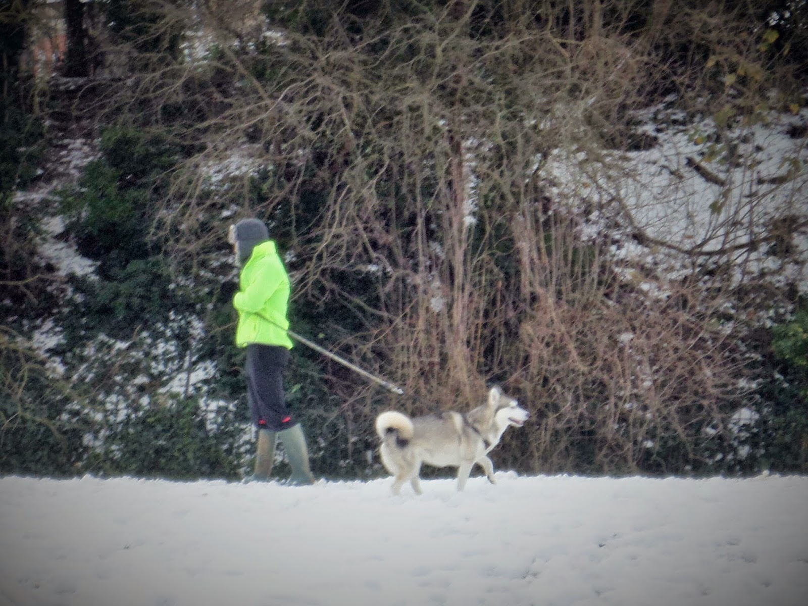 Martin Brookes Oakham Oakham Rutland Snow Photographs