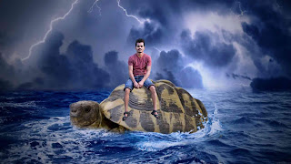 The Big Turtle Under Sea Manipulation