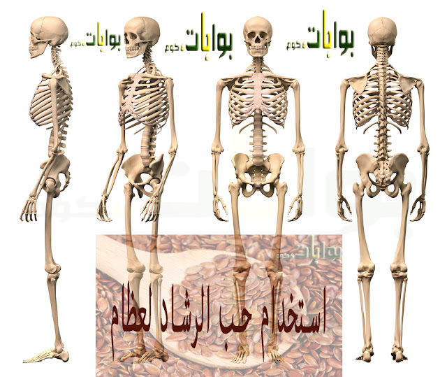 طريقة استخدام حب الرشاد للعظام وصفة مجربة