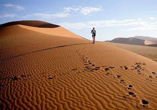 Namib Coastal Desert