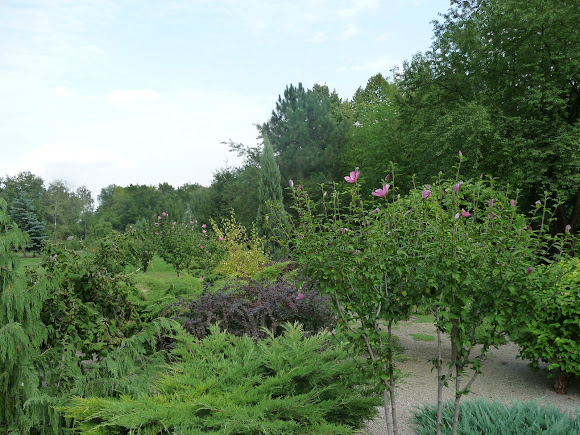 Донецьк. Ботанічний сад. Дендрарій