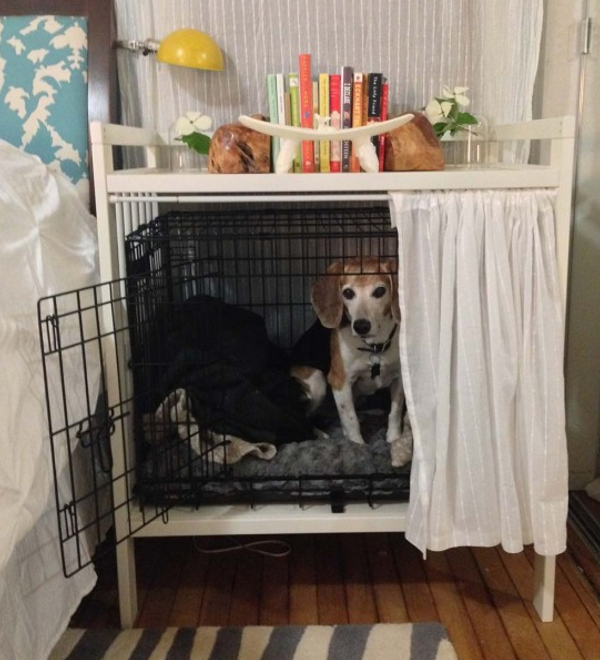 DIY Home Sweet Home 6 Brilliant Dog Hacks Every Dog Owner Should Know