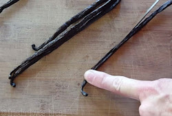 vanilla extract cooker pressure pot instant scraped vodka beans split put into